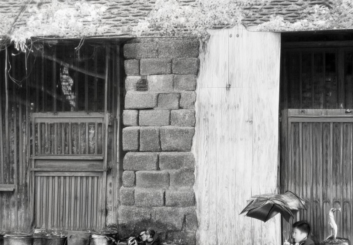 俄罗斯vs埃及欧赔分析及投注策略解读